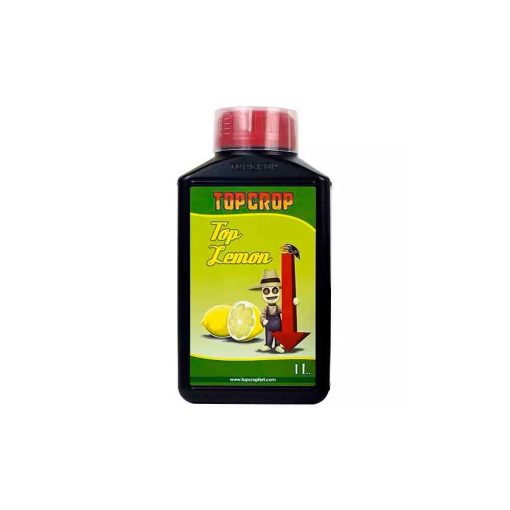 Top Lemon Top Crop